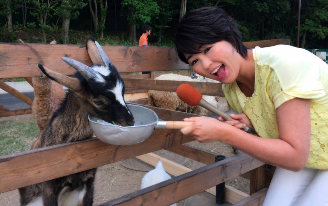 牧場でヤギに餌をあげながらリポートする佐伯桃子